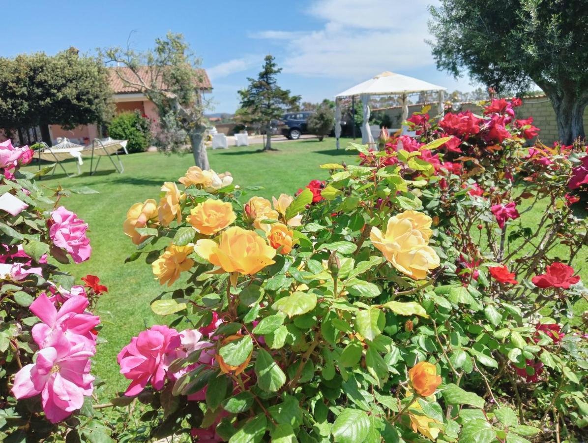 Elegance B&B Ladispoli Kültér fotó