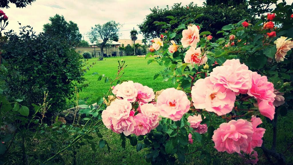 Elegance B&B Ladispoli Kültér fotó