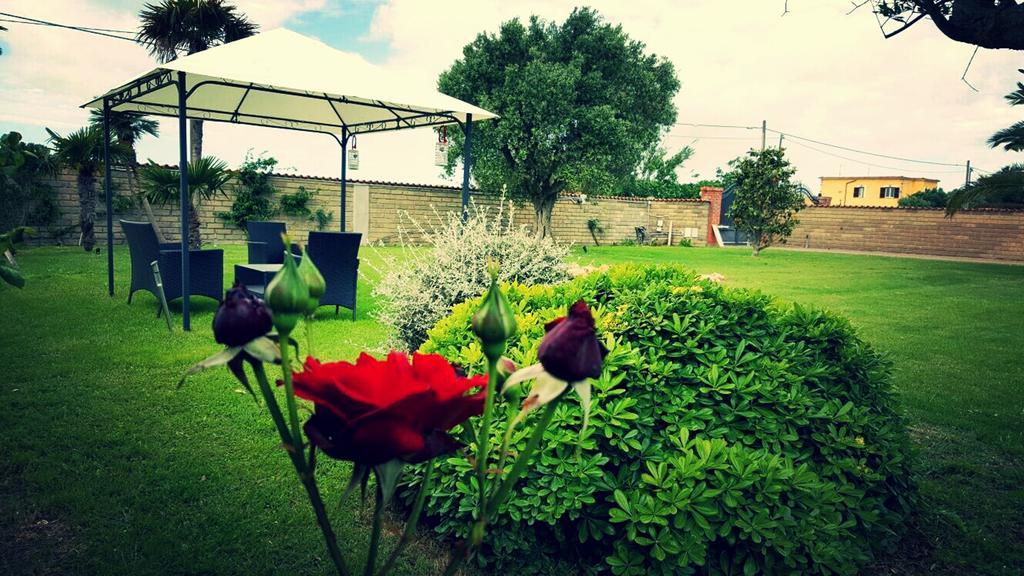 Elegance B&B Ladispoli Kültér fotó